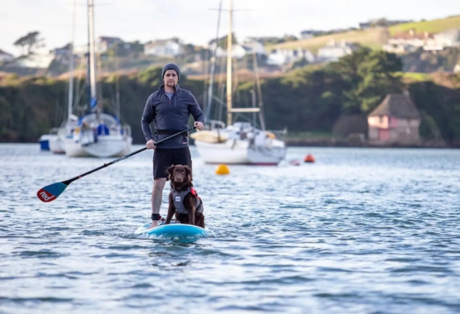 A man paddleboarding with his dog in the sea