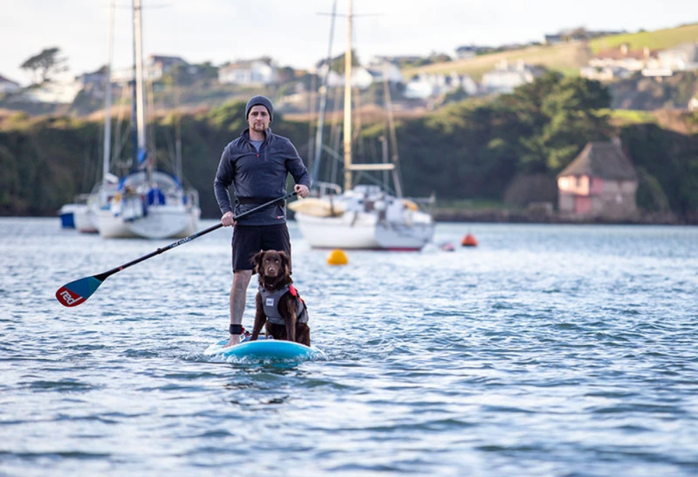 Does Your Dog Really Need To Wear A Dog Buoyancy Aid?