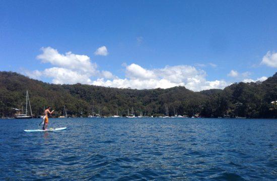 SUP in New South Wales, Australia