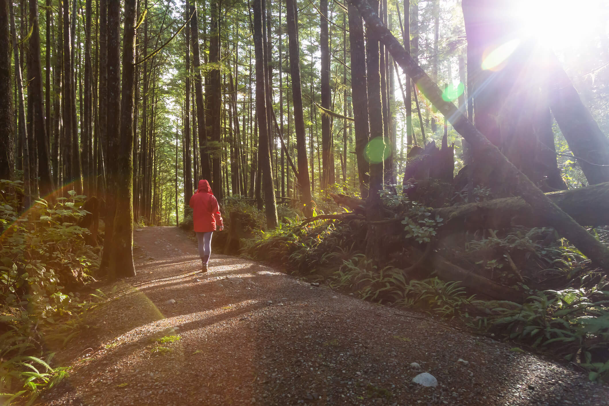 Woman walking through woodland in Canada