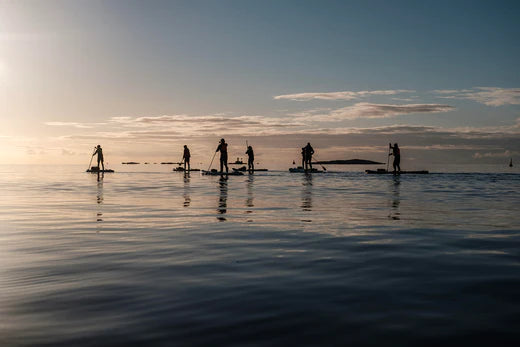 South Island SUP: Exploring Victoria and Beyond