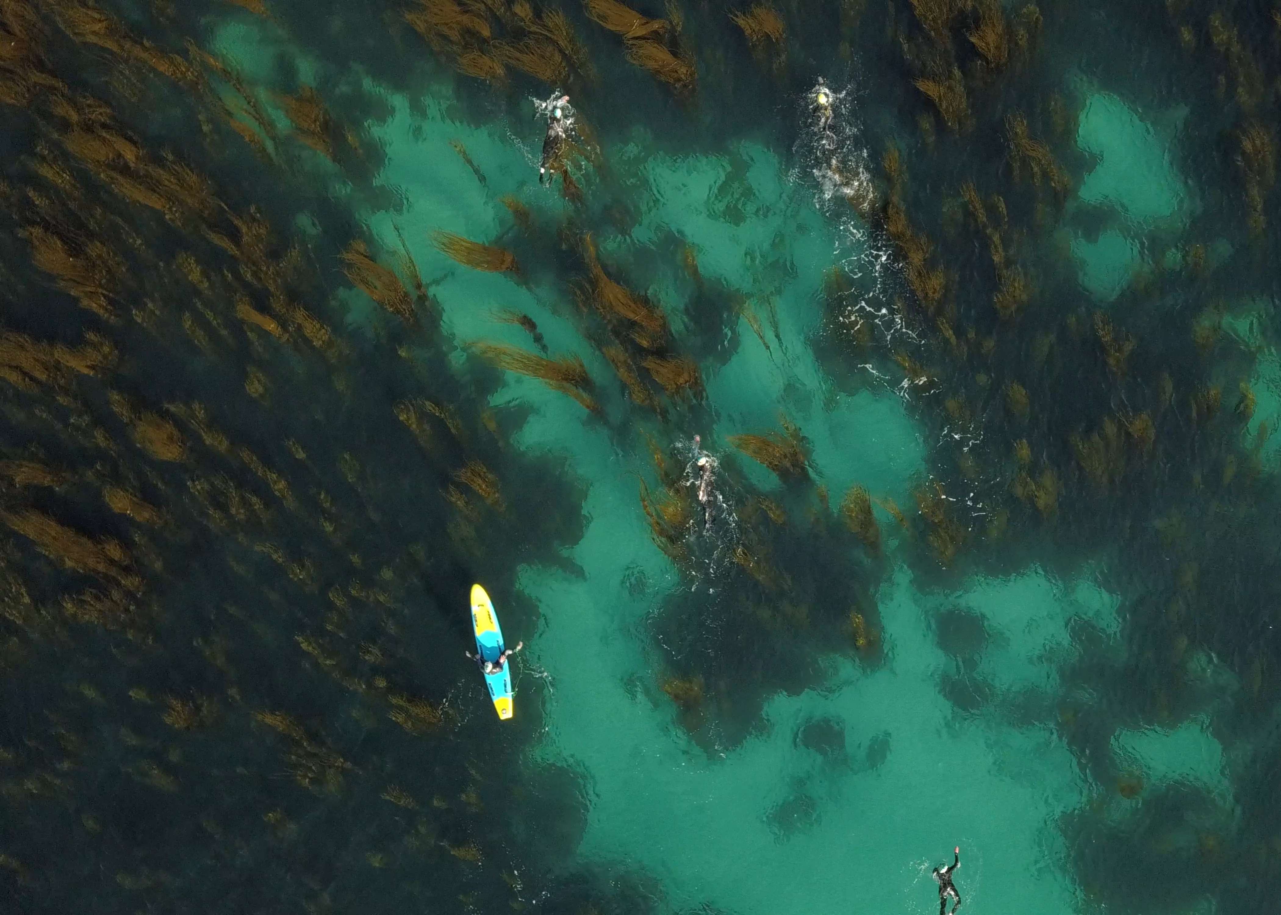 Red Equipment Canada 