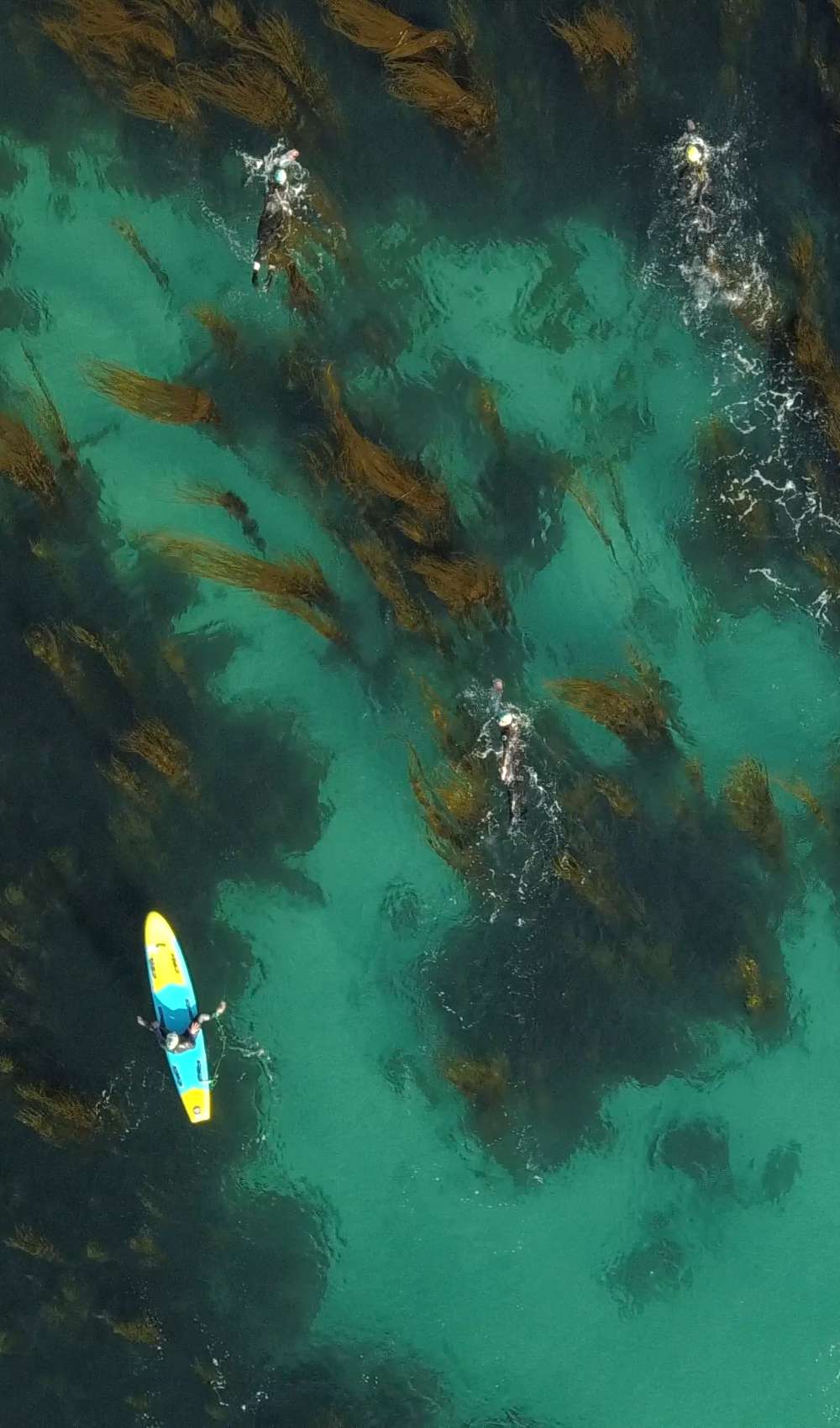 Red Equipment Canada 