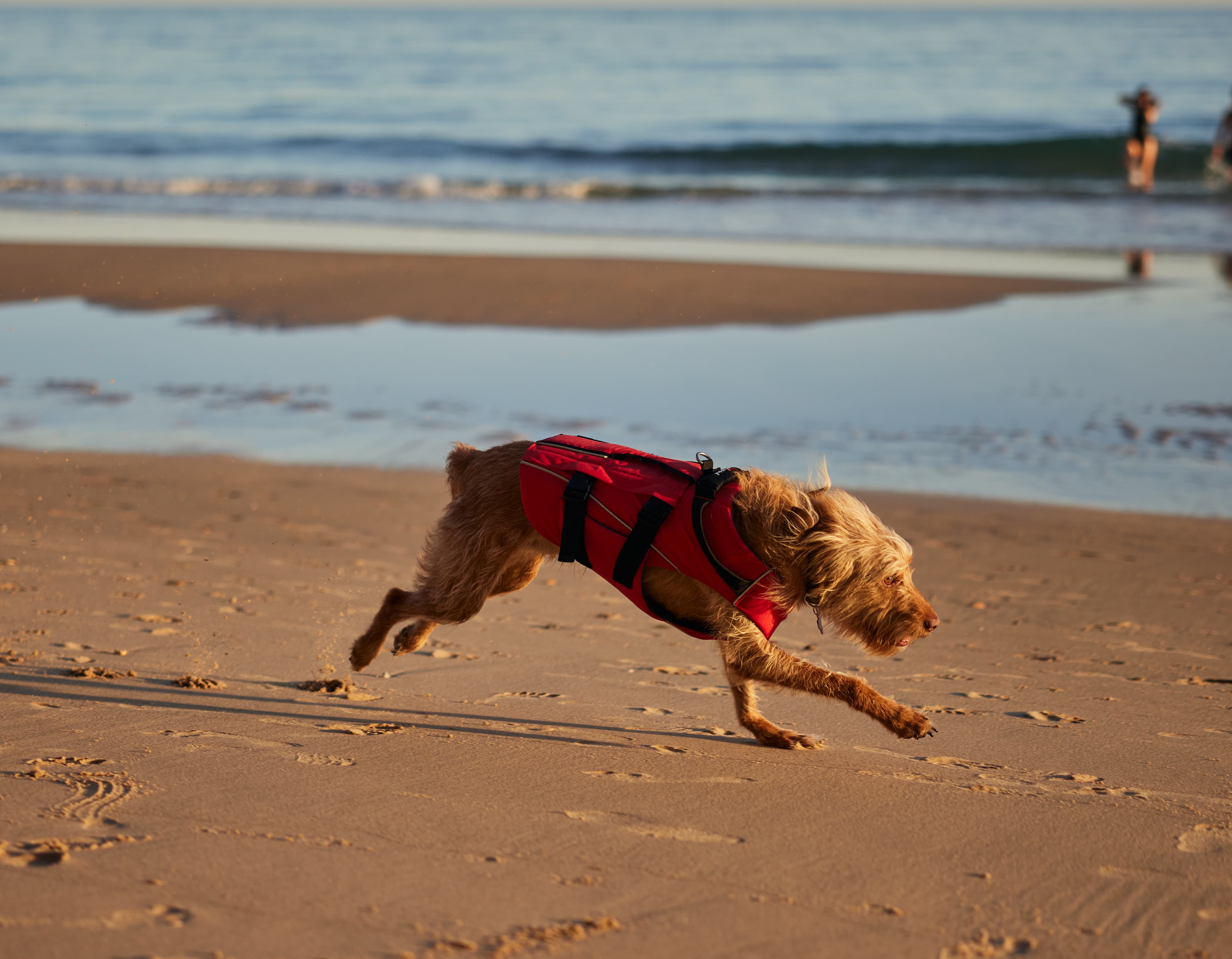 Red Original Dog Buoyancy Aid Red Red Equipment Canada